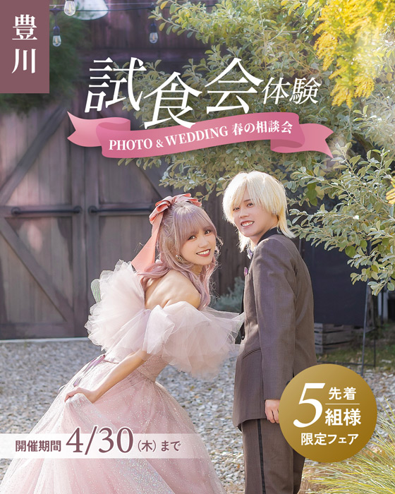 豊川4月30日まで限定フェア試食会体験